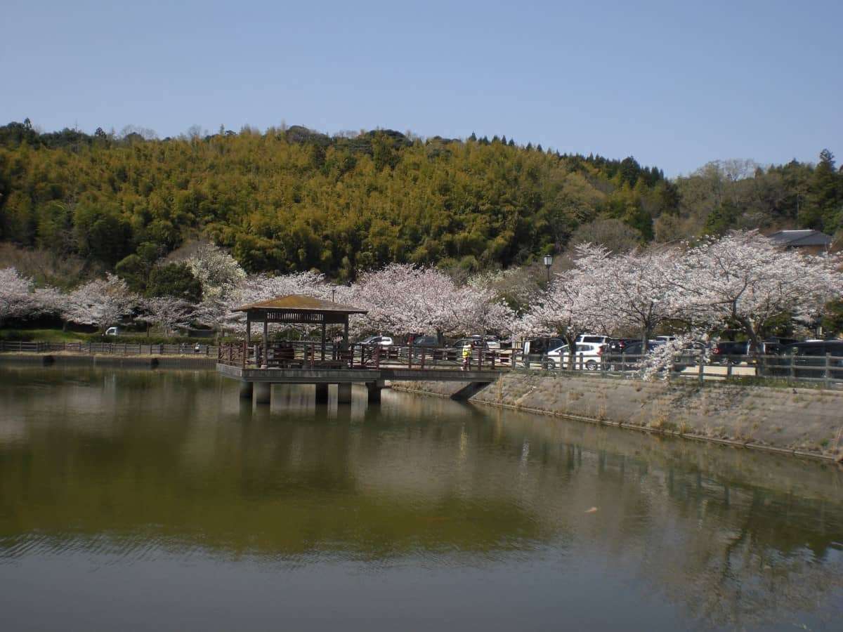 出雲 雲南 大田の 桜が見られる公園 5選 遊び場でお花見も楽しんじゃおう 日刊lazuda ラズダ 島根 鳥取を知る 見る 食べる 遊ぶ 暮らすwebマガジン