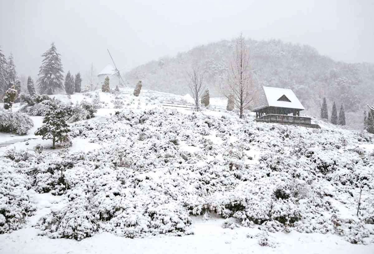 20210408おでかけマンスリー徳島34