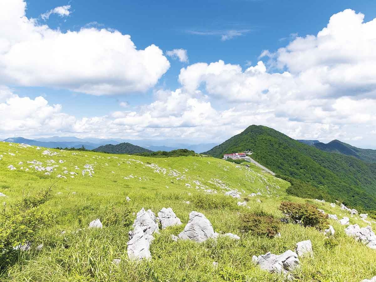 20210719おでかけマンスリー高知06