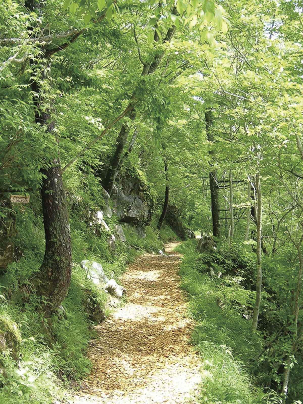 20210719おでかけマンスリー高知08