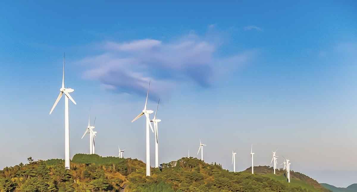 20210719おでかけマンスリー高知13