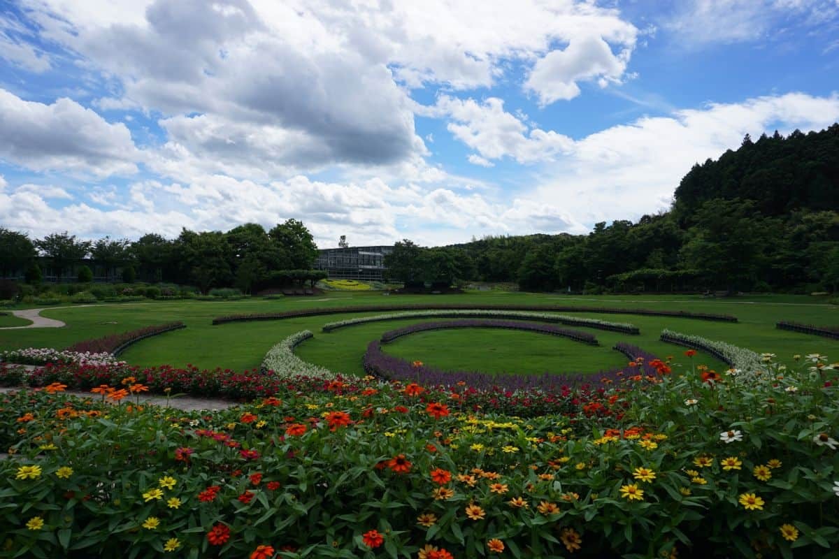 出雲市 しまね花の郷 は子連れでピクニックも楽しい遊び場 お花もいっぱい 日刊lazuda ラズダ 島根 鳥取を知る 見る 食べる 遊ぶ 暮らすwebマガジン