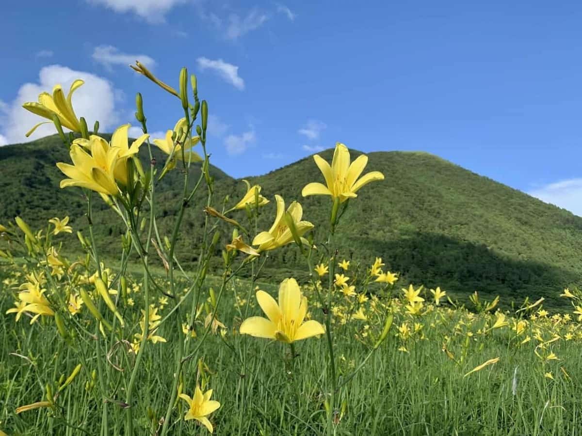 人気記事_夕方にしか見られない“レモン色”の絶景【山陰フォト散歩】