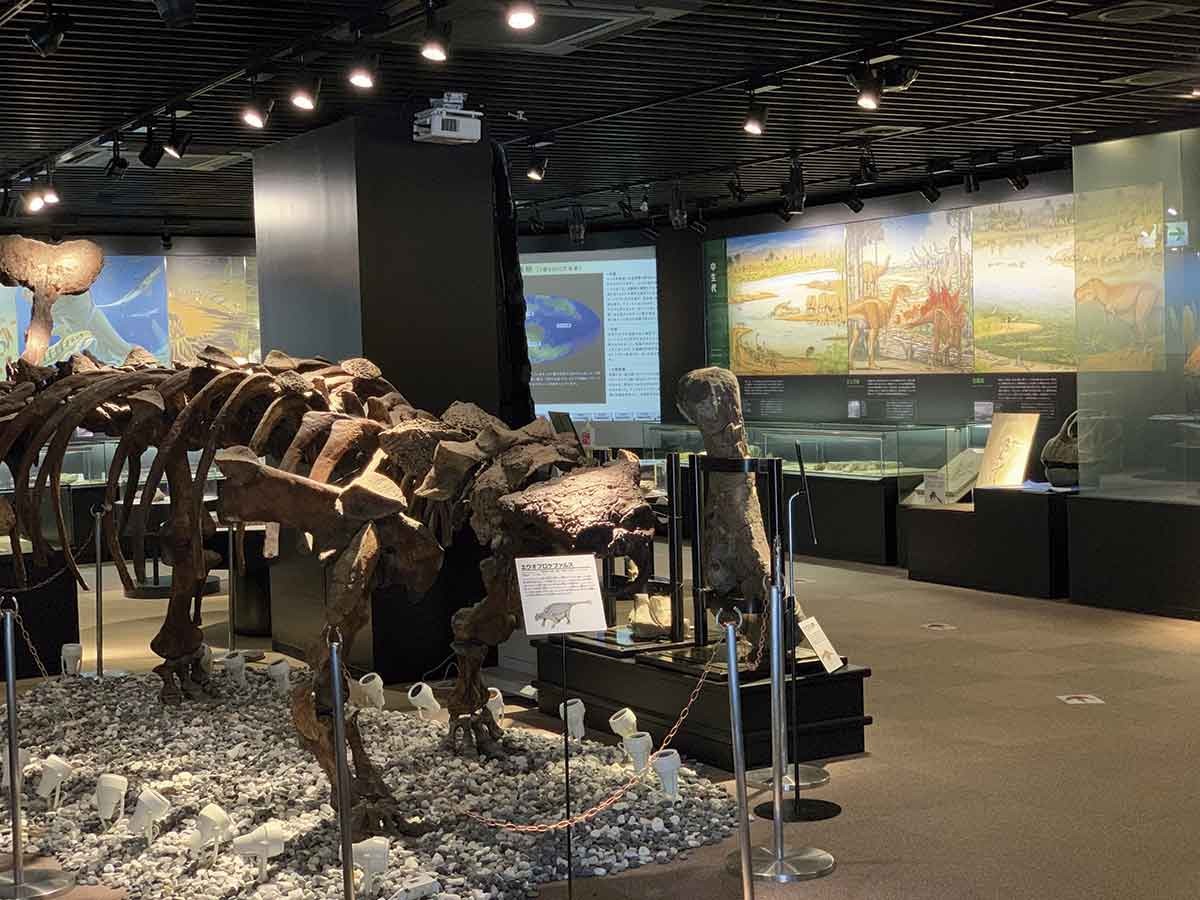 20210928おでかけマンスリー島根06_多根自然博物館