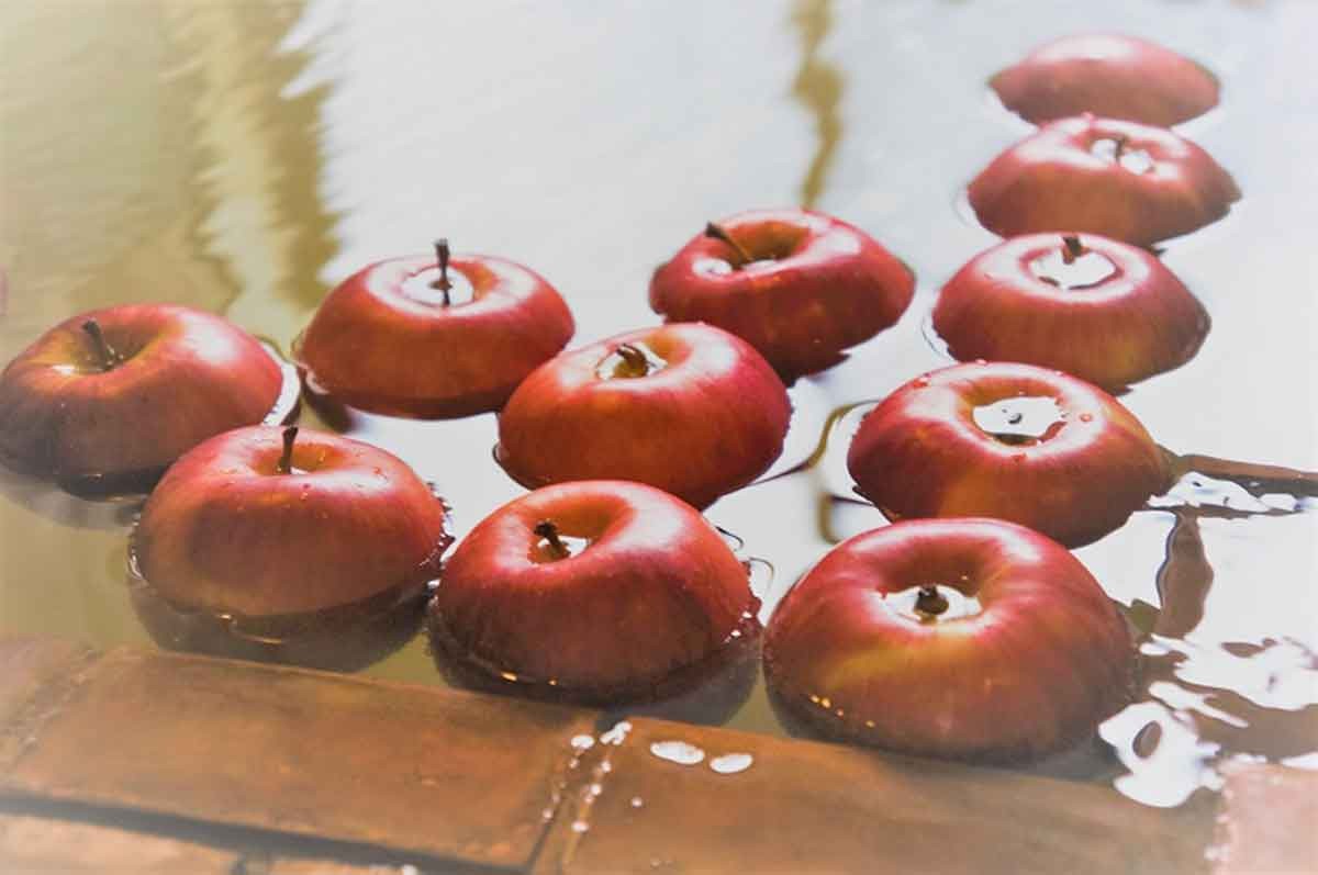 人気記事_秋の味覚・りんごが温泉に！？飯南町『ラムネ銀泉』で「りんご温泉」が今年も期間限定で開催！
