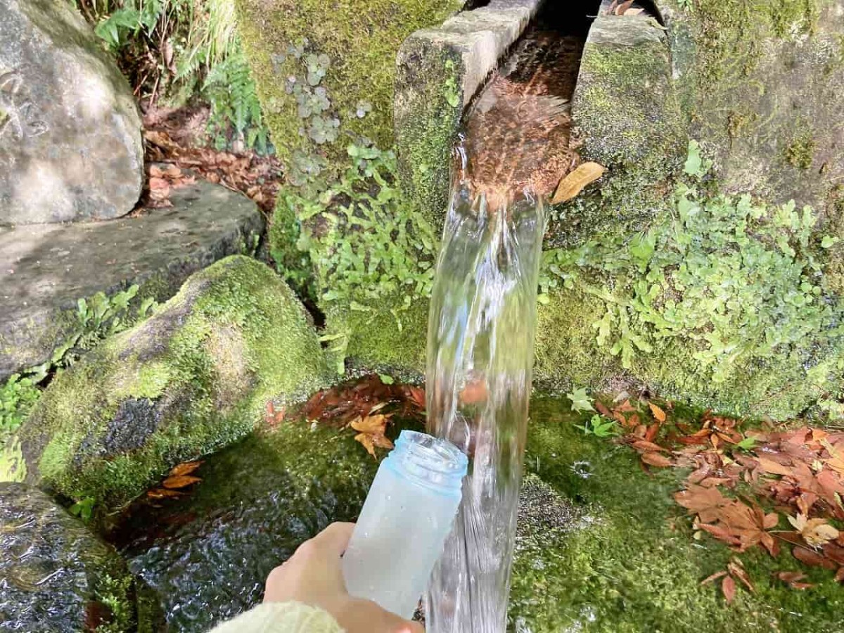 鳥取県米子市_本宮の泉_名水_因伯の名水_オススメ_人気_大山_