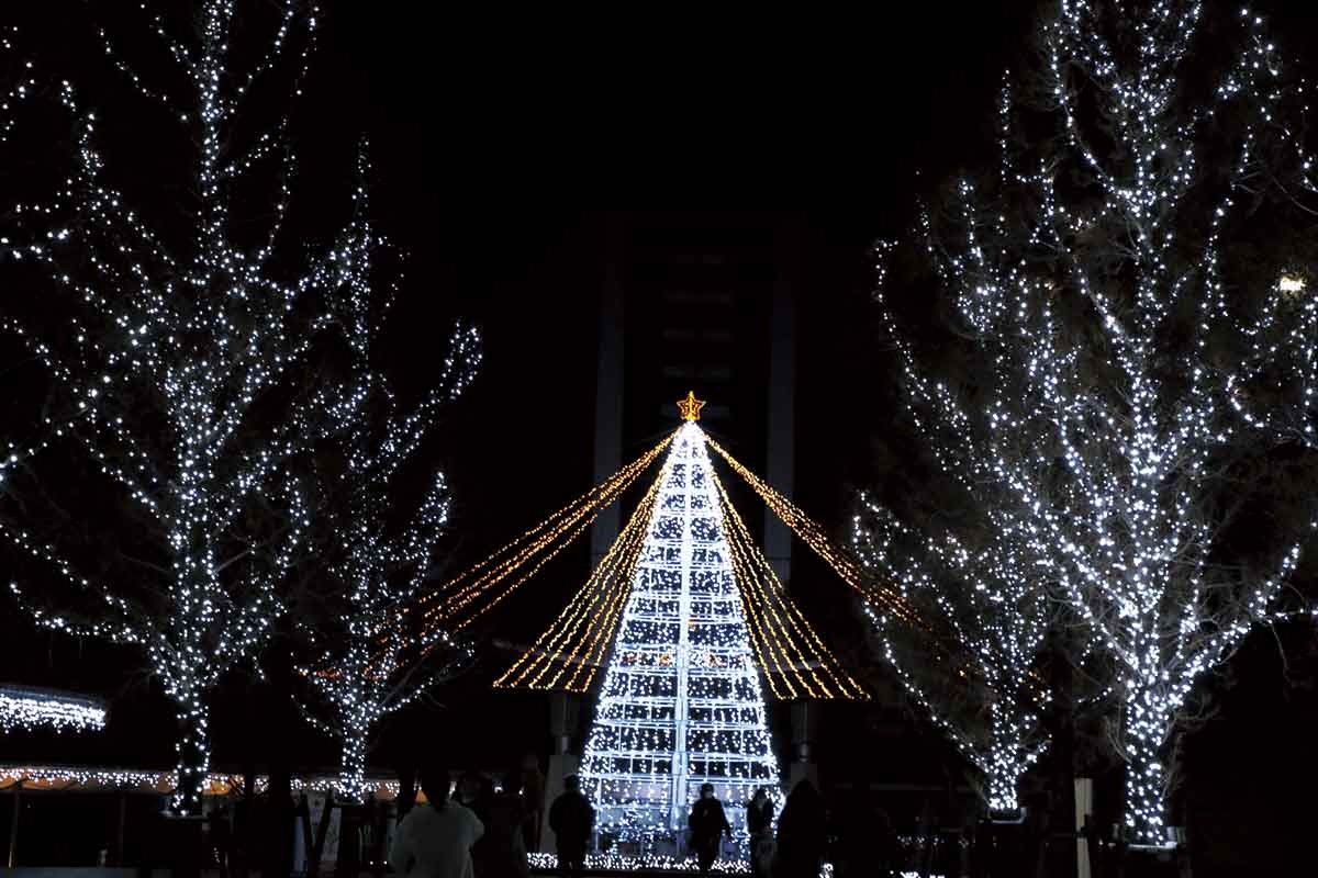 20211108おでかけマンスリー徳島21