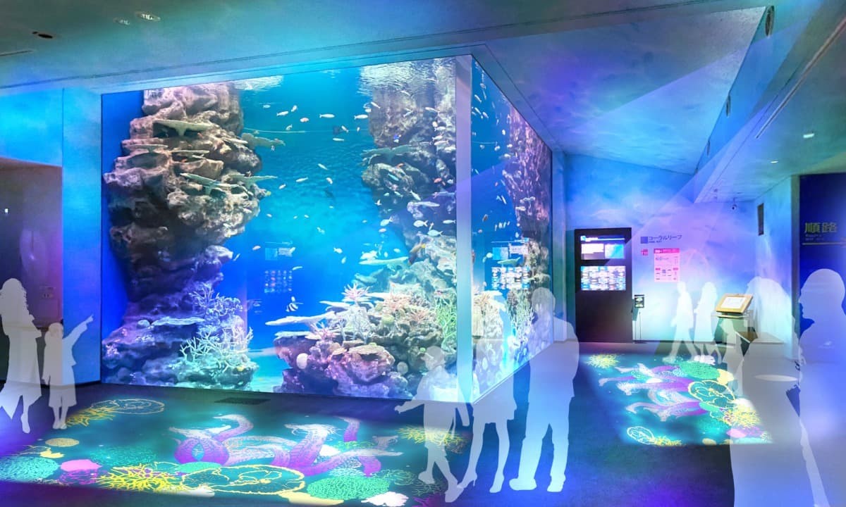 島根県浜田市の水族館『しまね海洋館アクアス』のプロジェクションマッピングのイメージ