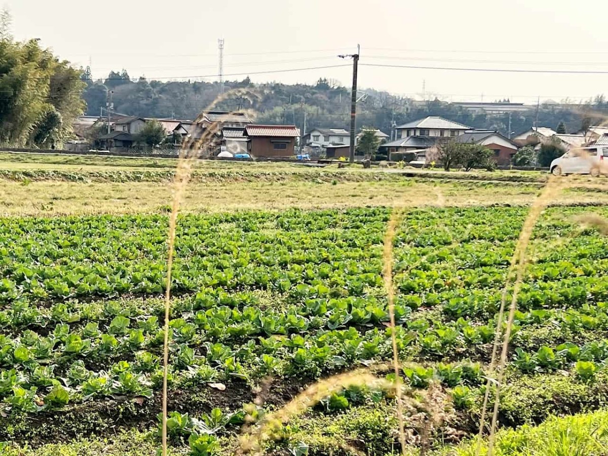 鳥取県西伯郡伯耆町の岸本駅周辺の農道の様子