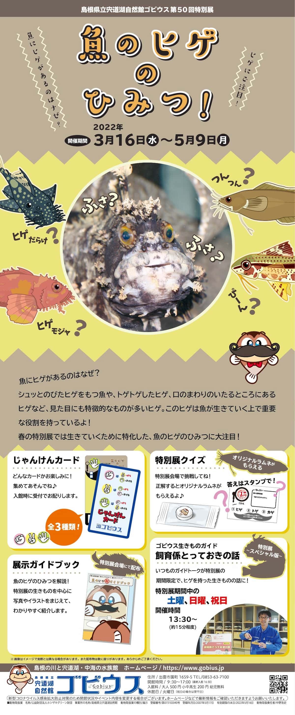 島根県出雲市の『ゴビウス』で開催されるゴールデンウイークイベント「魚のヒゲのひみつ」のチラシ