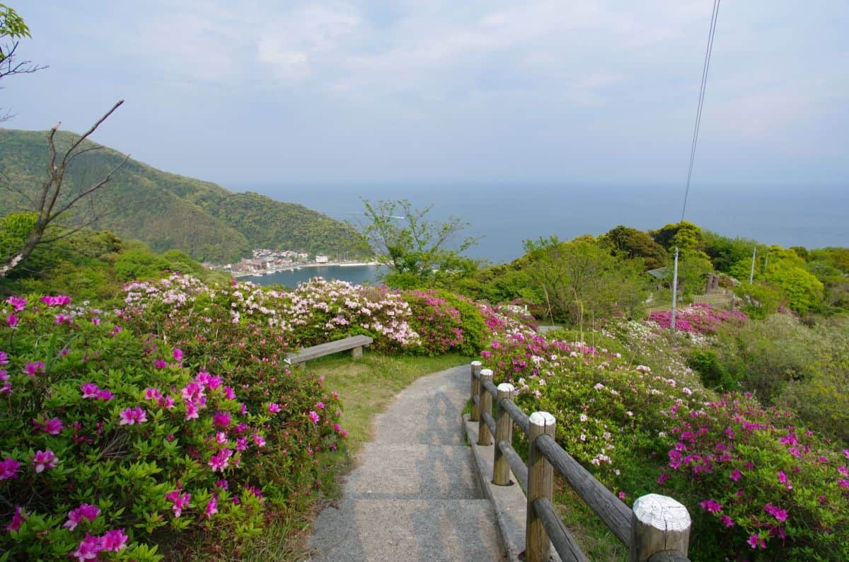 島根県松江市美保関町にある『五本松公園』から見える海景色