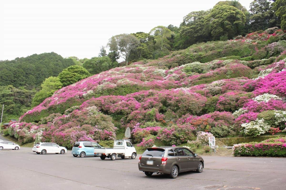 島根県浜田市にあるツツジの名所『三隅公園』の駐車場