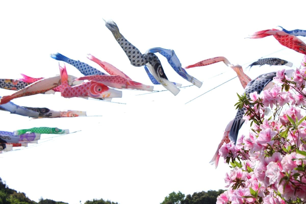 島根県益田市の都市公園『島根県立万葉公園』に掲揚されている鯉のぼりの様子