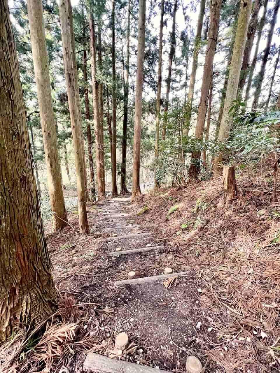 鳥取県西伯伯耆町にある渓流公園『マウンテンストリームきしもと』の様子