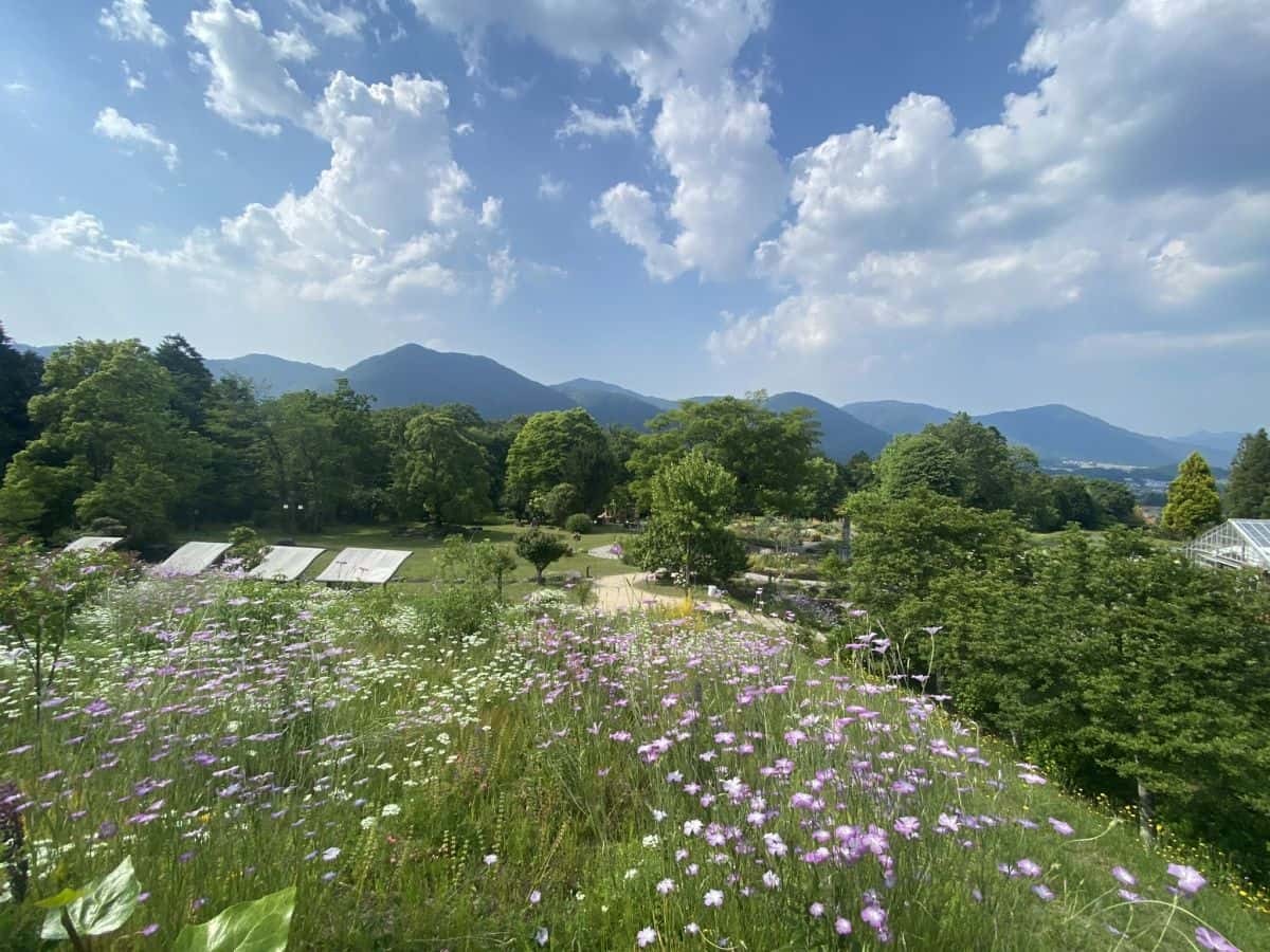島根県邑南町の観光スポット『香木の森公園』の園内の様子