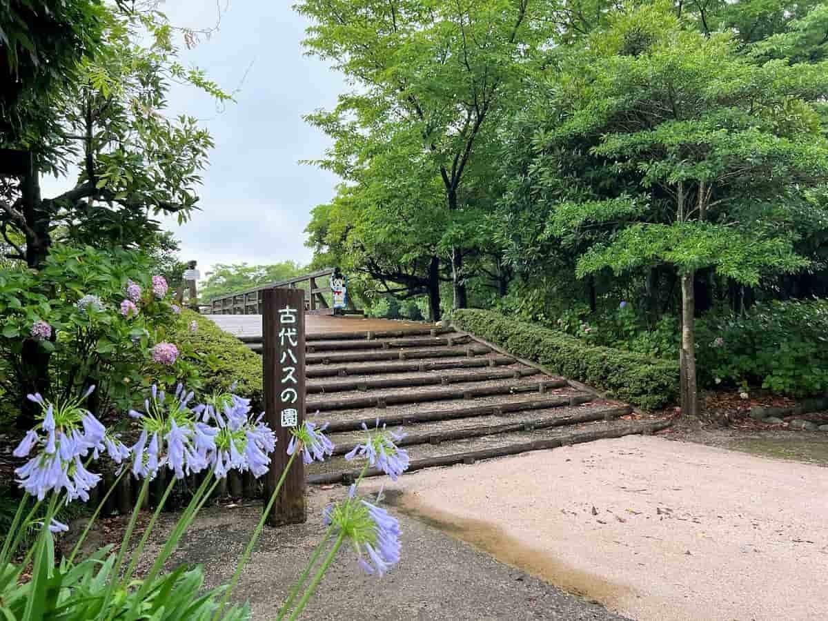 鳥取県米子市淀江町にある『 伯耆古代の丘公園』の園内の様子