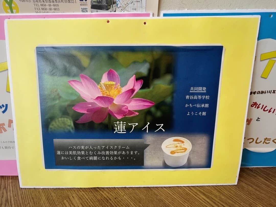 鳥取県鳥取市青谷の『青谷ようこそ館』内で食べられる蓮アイス