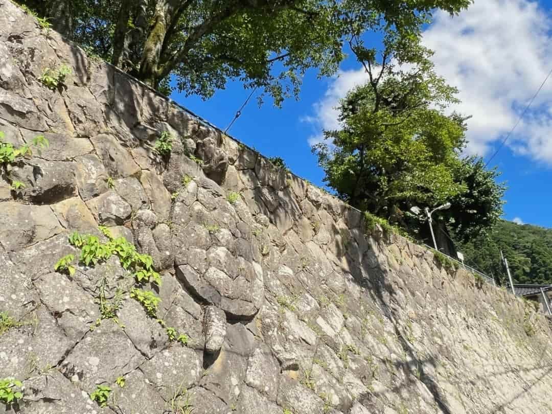 鳥取県鳥取市青谷町の蔵内観音寺にいる「石垣の亀石」の様子