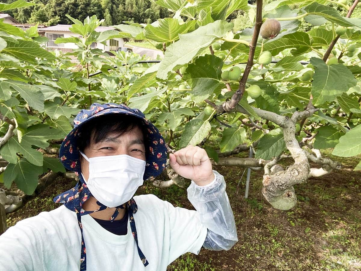島根県出雲市多伎町でイチジクの収穫体験をしてきた編集部いしやん