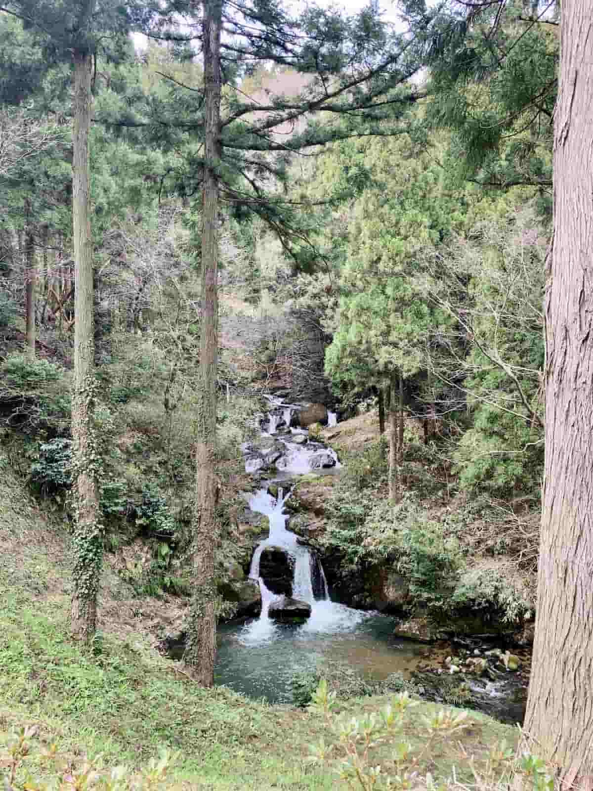 島根県仁多郡奥出雲町にある「トウトウの滝」の様子