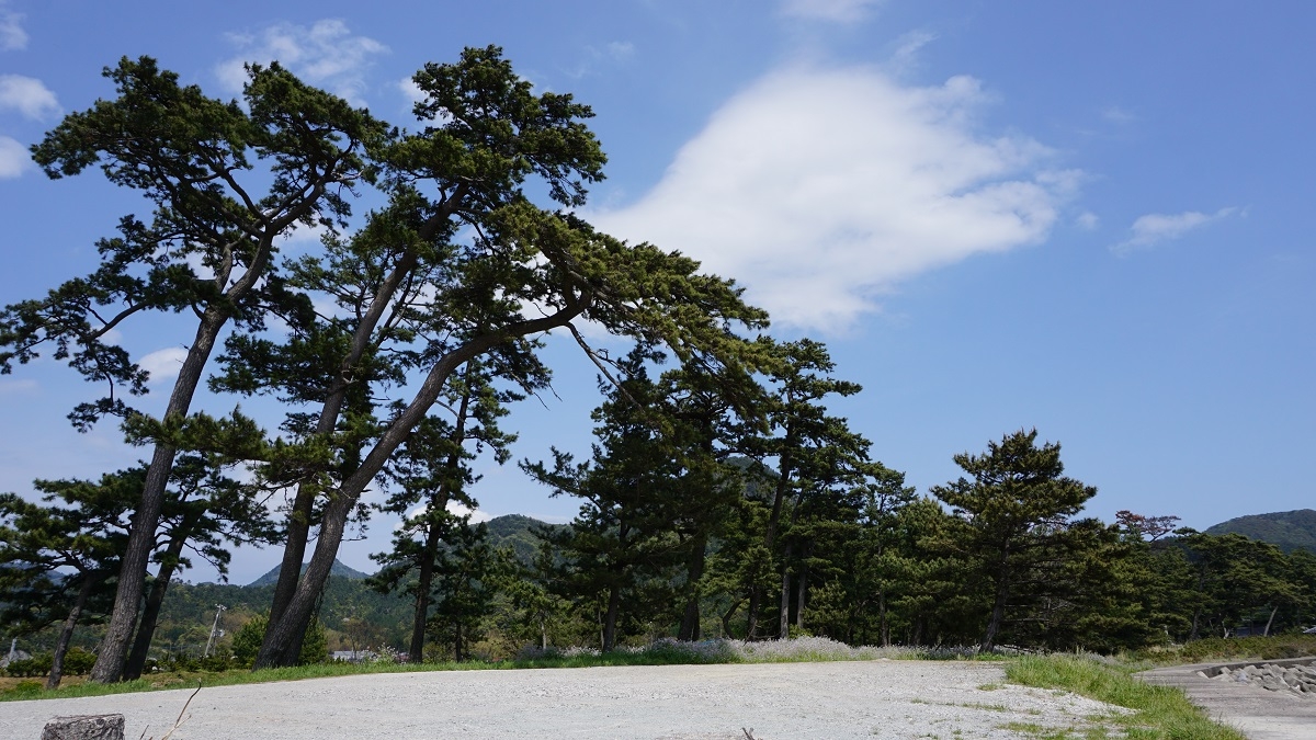 島根県隠岐の島町にある絶景スポット『屋那の松原・舟小屋群』