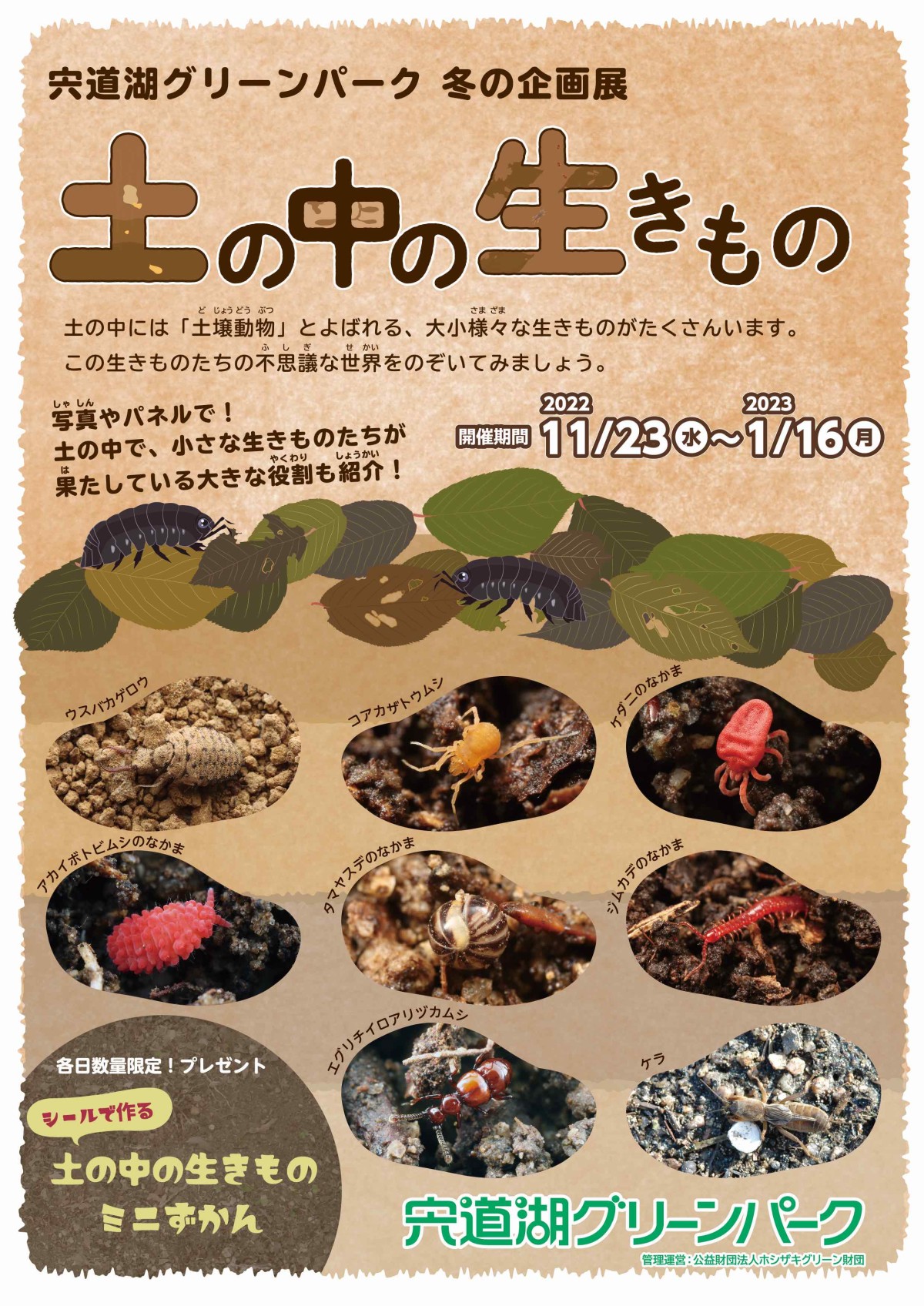 島根県出雲市のイベント「冬の企画展「土の中の生きもの」」のポスター
