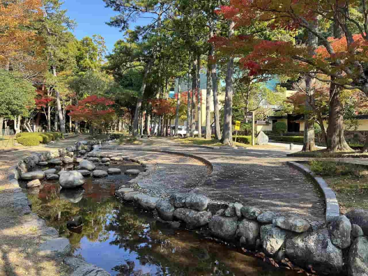 鳥取県鳥取市にある『樗谿公園』の紅葉の様子