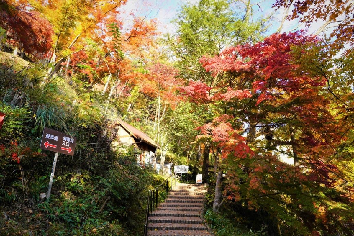 岡山県新見市の名物観光スポット『満奇洞』の入り口