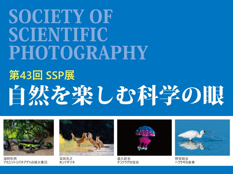 島根県大田市のイベント「第43回SSP展 自然を楽しむ科学の眼」のポスター