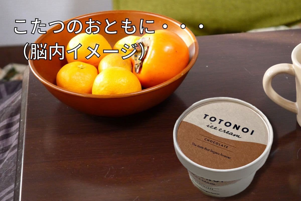 島根県雲南市の絶品お取り寄せスイーツ「ととのいアイス」をこたつで食べた時のイメージ図