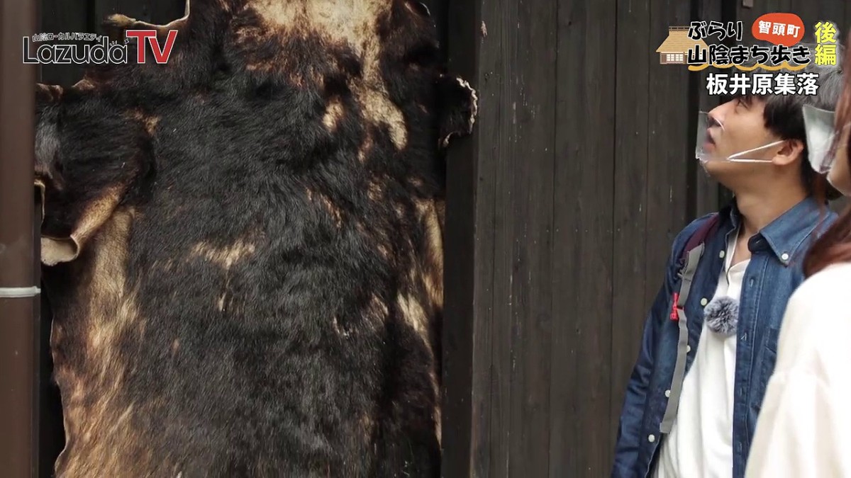 鳥取県智頭町の穴場観光地・板井原集落で見つけた熊の毛皮