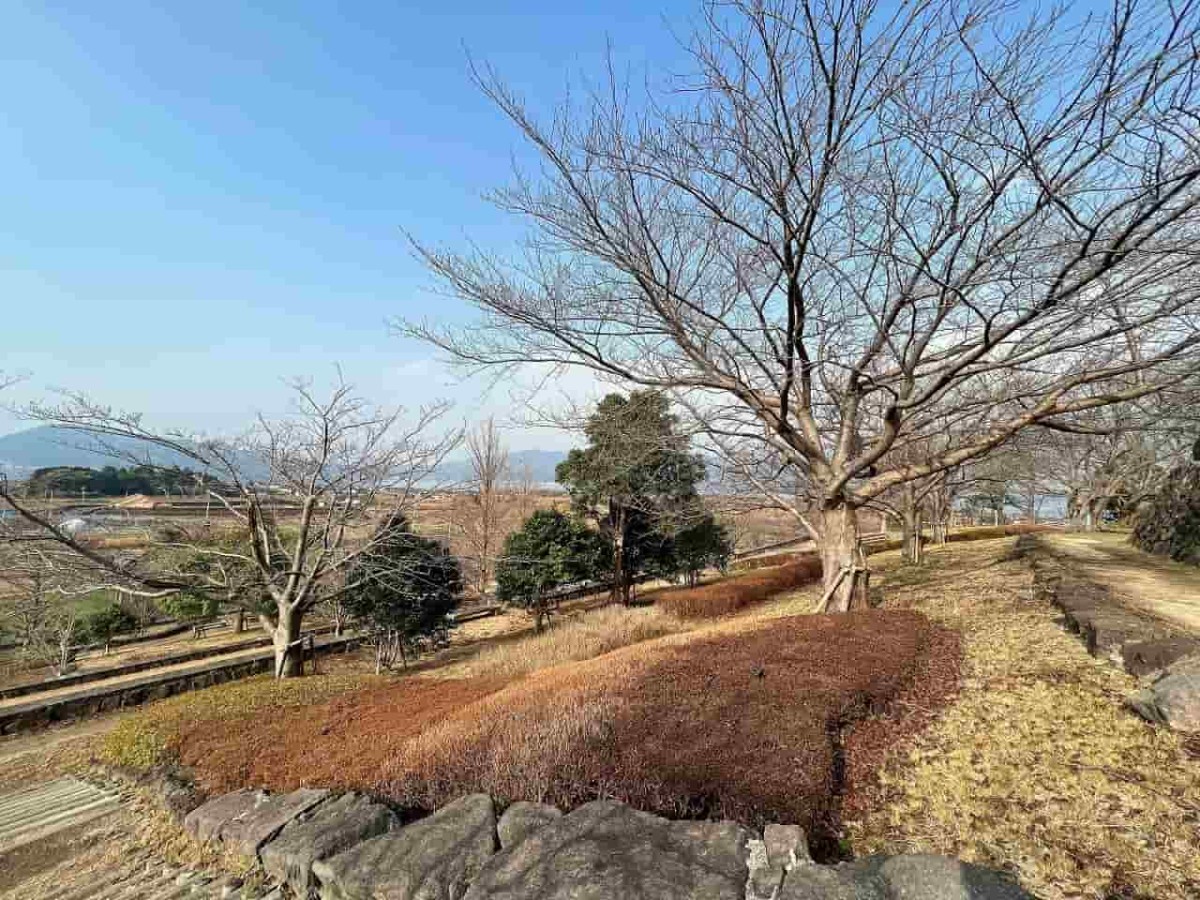 島根県松江市にある『大塚山公園』の花木園の様子