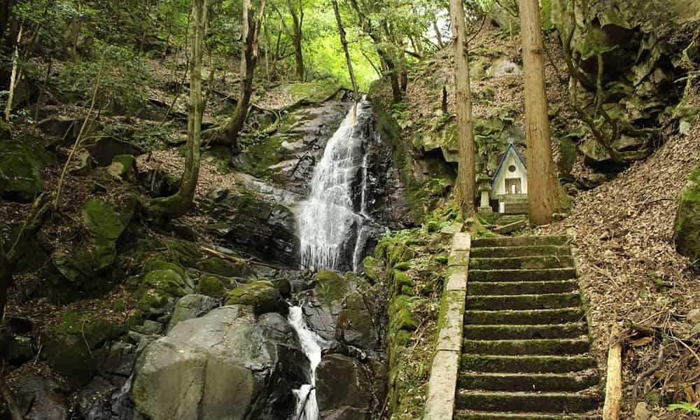 鳥取県八頭郡智頭町にある『杉神社』