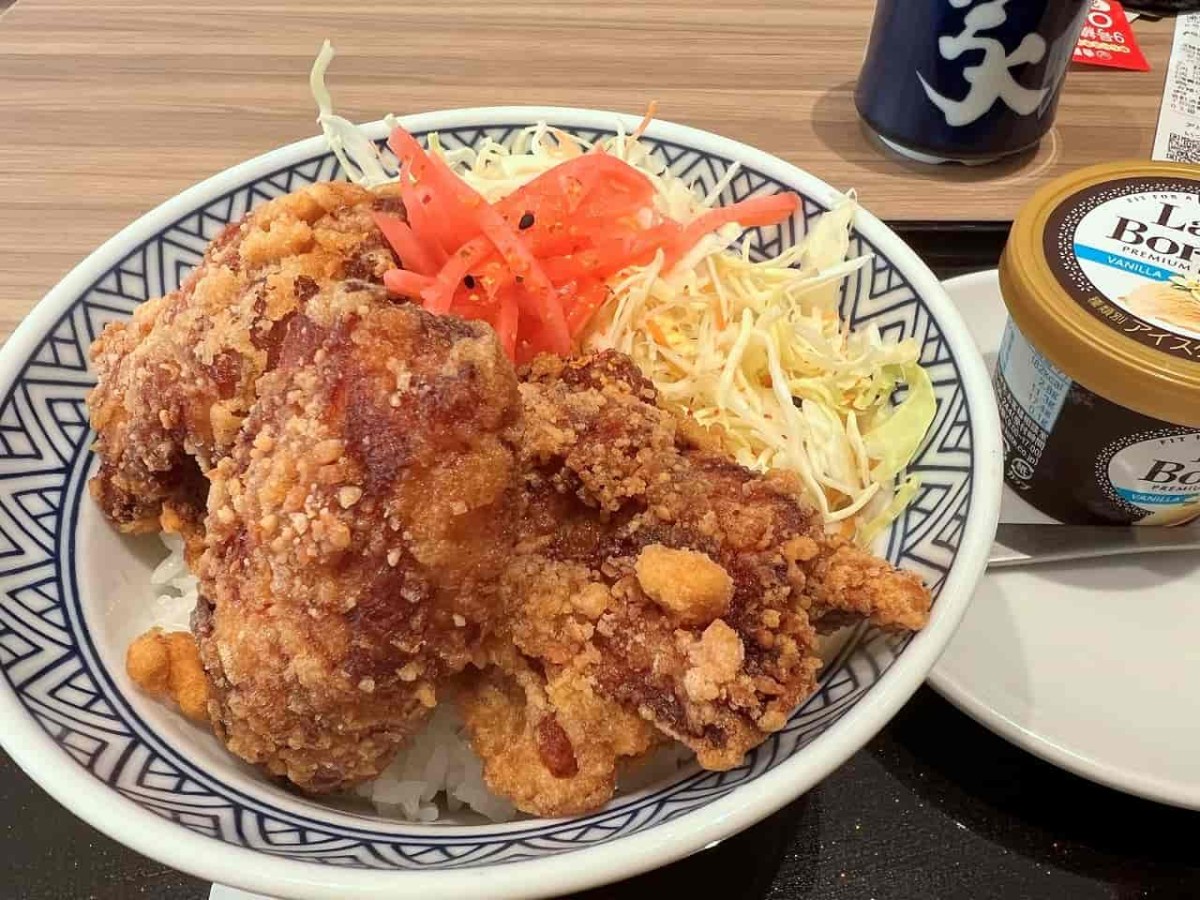 島根県松江市にある『吉野家９号線松江店』のから揚げ丼