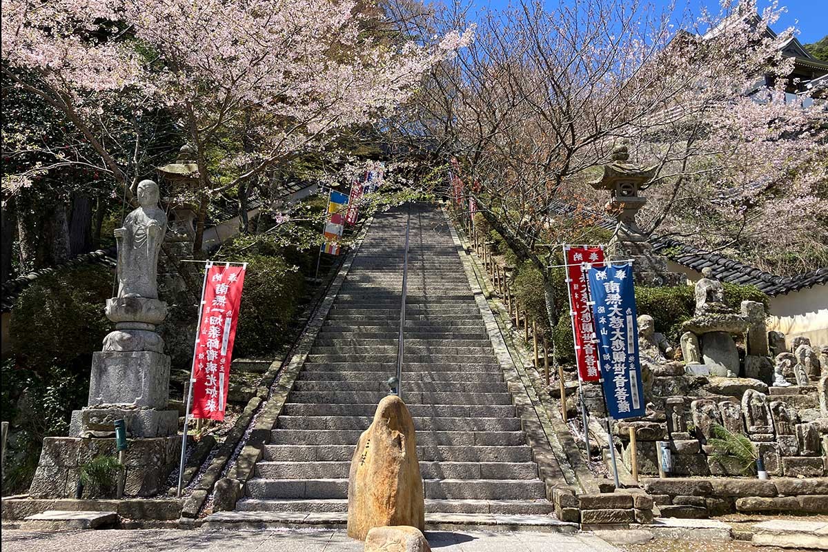 桜景色に包まれる古刹『一畑薬師』