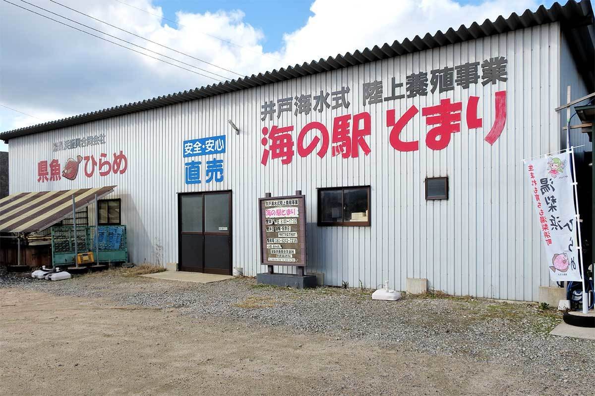 鳥取県湯梨浜町の食事処『海の駅とまり 元気海』に隣接する養殖場