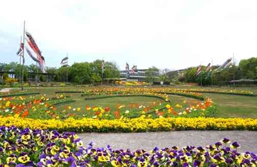 島根県出雲市のイベント「 春のフラワーフェスタ」のイメージ
