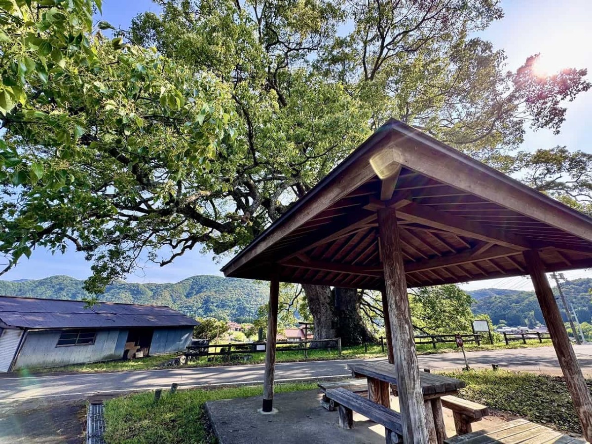 島根県津和野町にある「池村のクスノキ」にある東屋