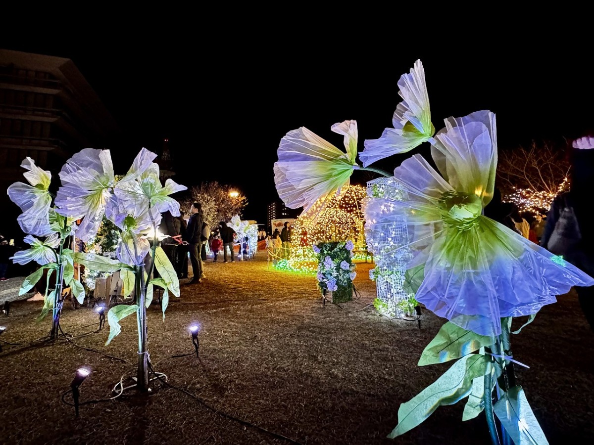 島根県出雲市で開催されているイルミネーションイベント「ミライトいずも」の様子