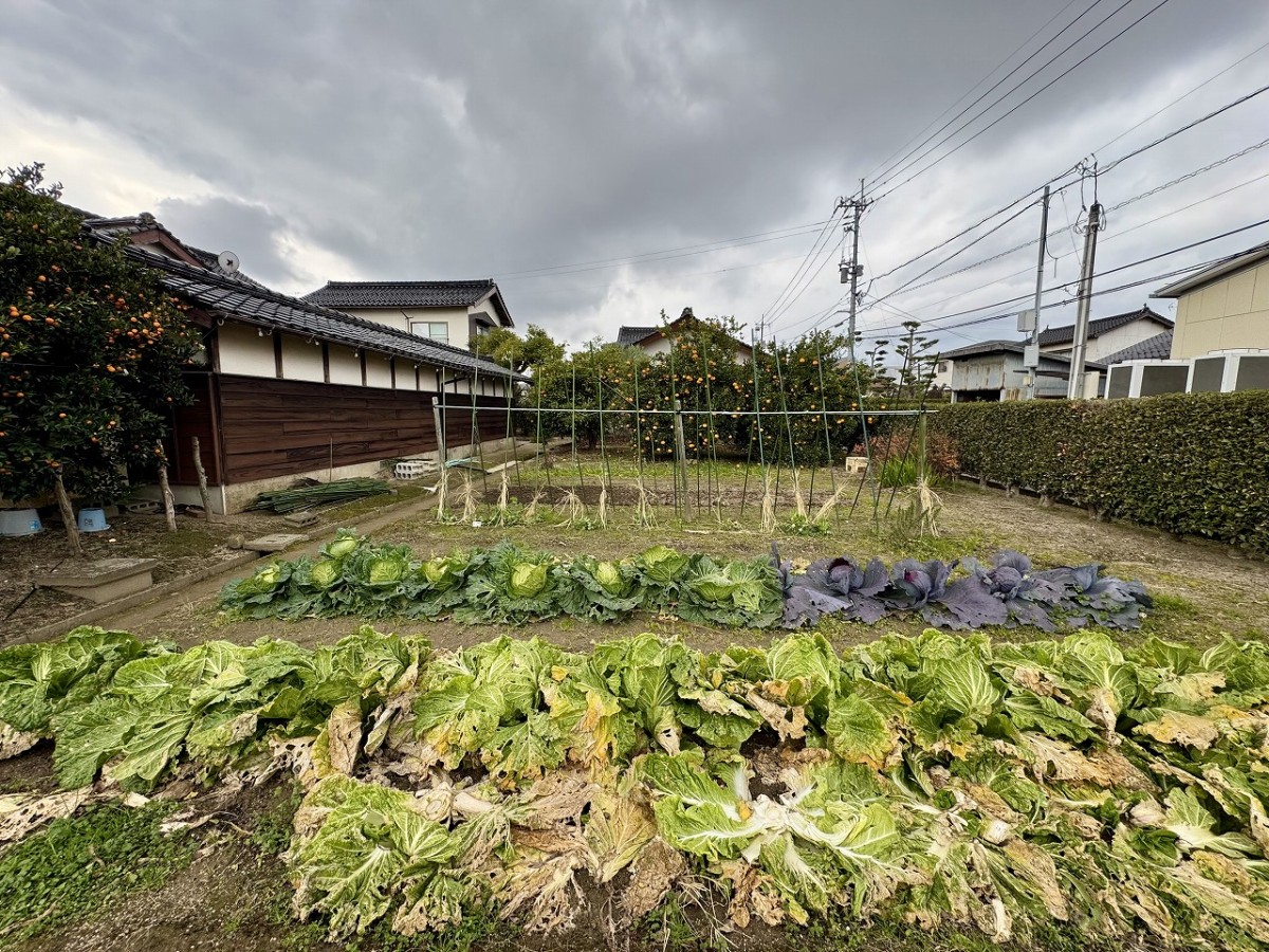 島根県出雲市にある酒場『SPACE大北』の畑