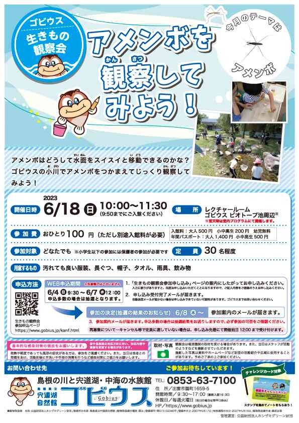 島根県出雲市のイベント「【要予約】ゴビウス生きもの観察会「アメンボを観察してみよう！」」のチラシ