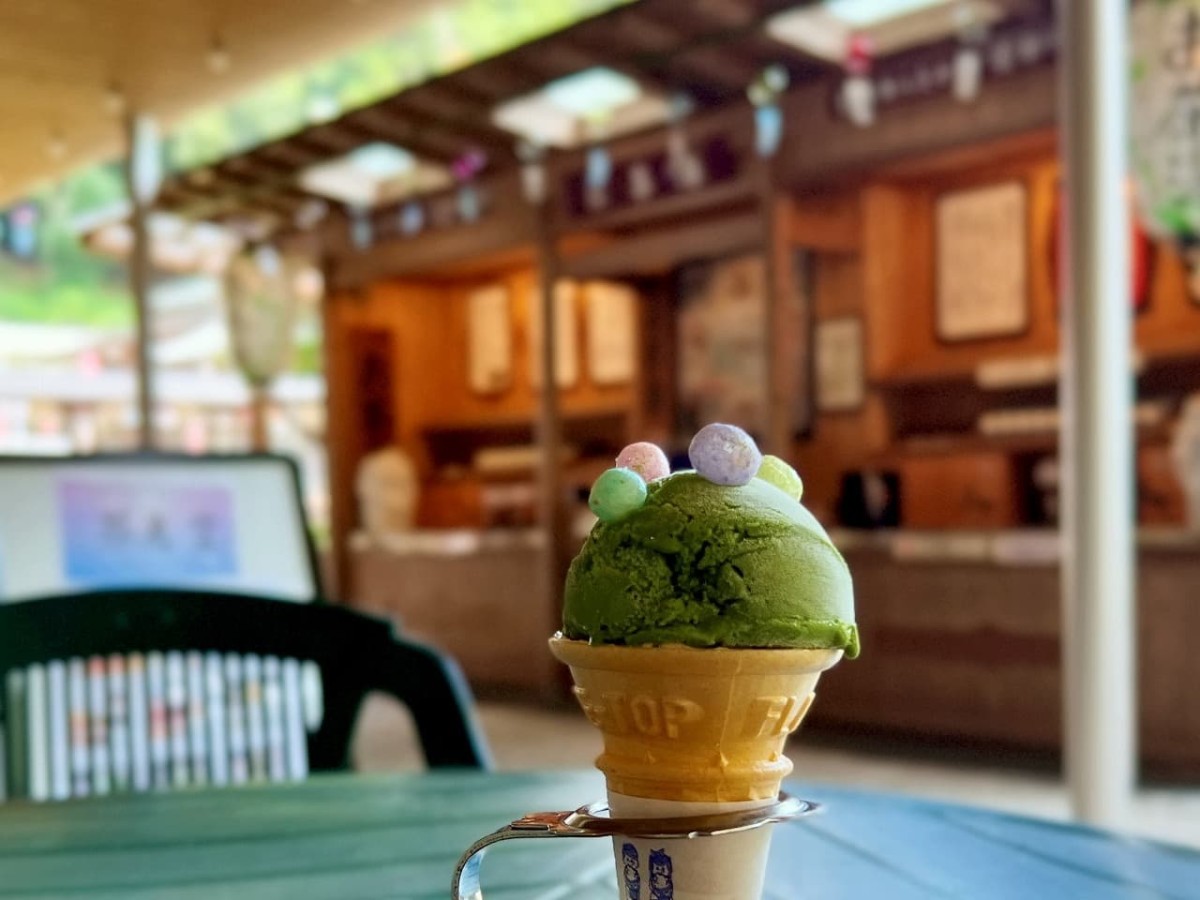 島根県出雲市にある目のお薬師様『一畑寺』の喫茶で食べられるアイス
