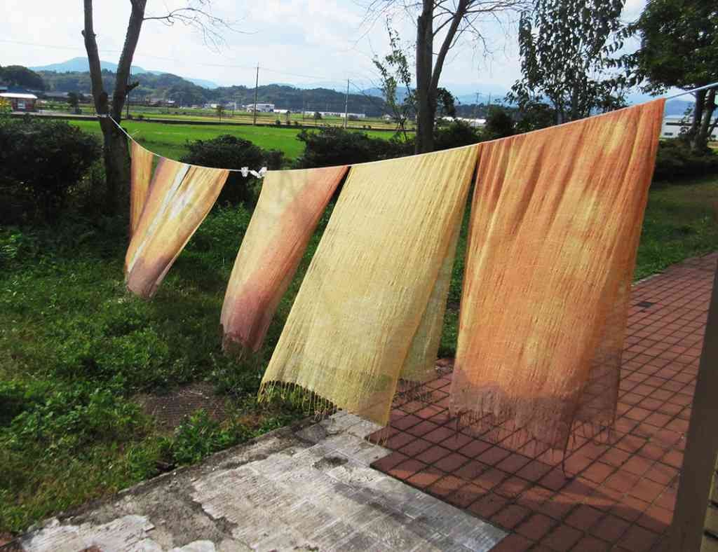 鳥取県鳥取市のイベント「【要予約】おとなの草木染め」のイメージ