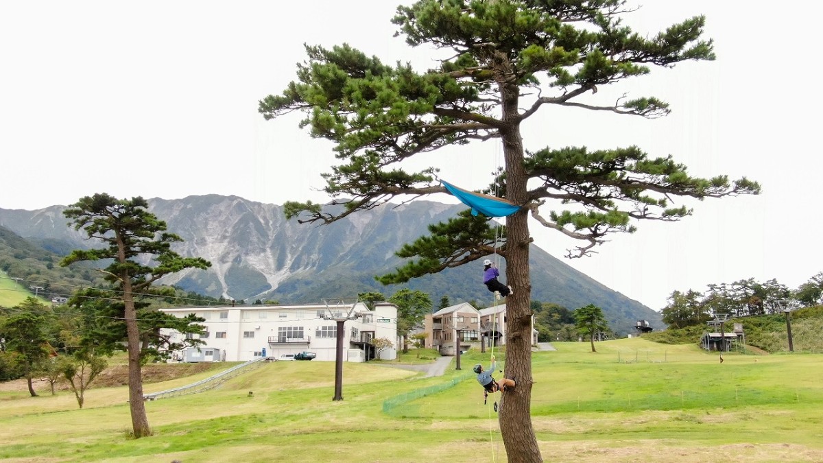 鳥取県大山エリアの木登り体験サービス『木のぼり木の子』の体験風景