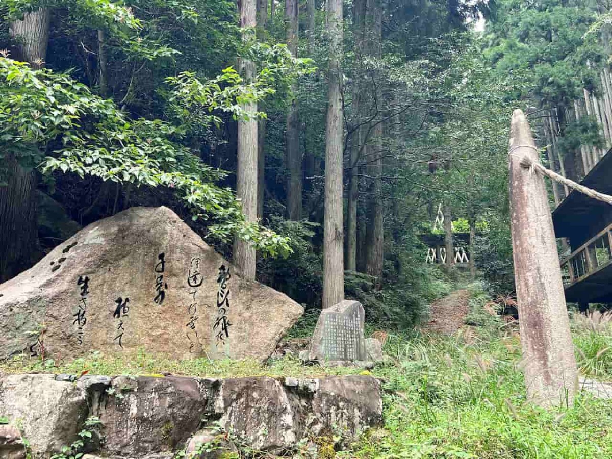 鳥取県智頭町のパワースポット「杉神社」の様子