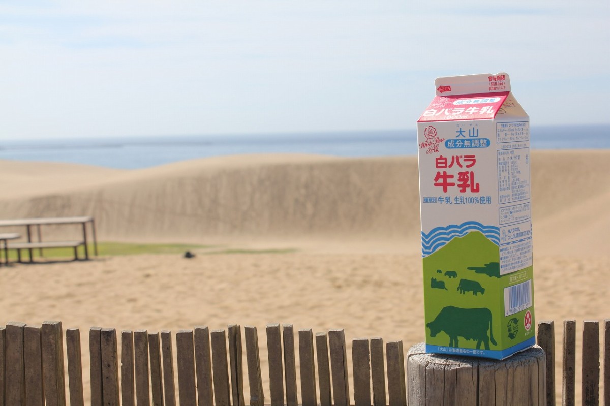 鳥取県琴浦町にある『大山乳業』による商品「白バラ牛乳」