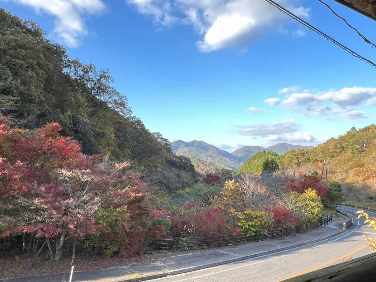 鳥取県日野郡日野町にある『滝山公園』の秋の様子