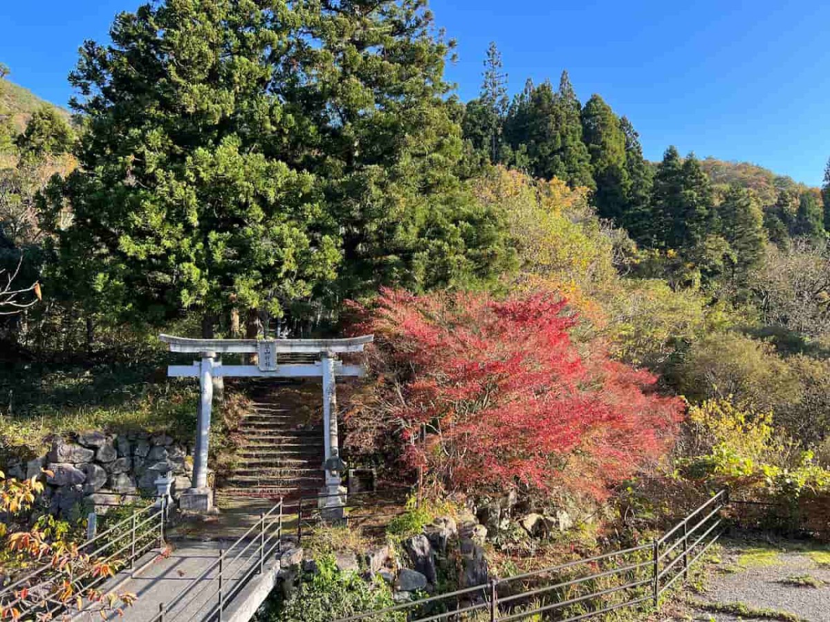 鳥取県日野郡日野町にある『滝山公園』の秋の様子