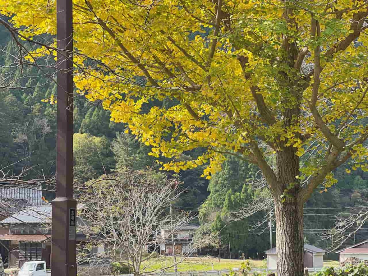 鳥取県日野町にある『金持神社』周辺の様子
