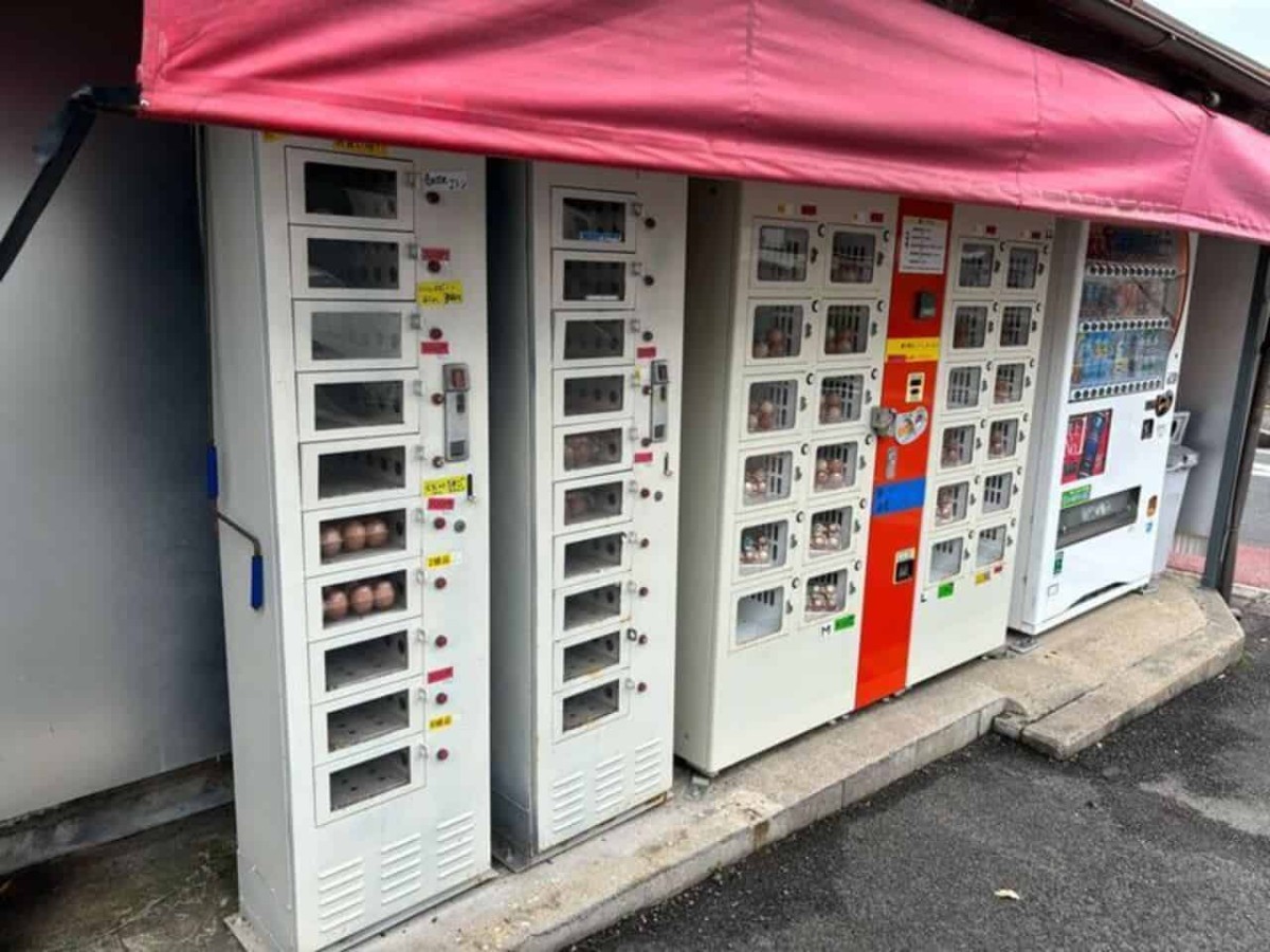 松江市北田町で見つけた卵を販売する自販機